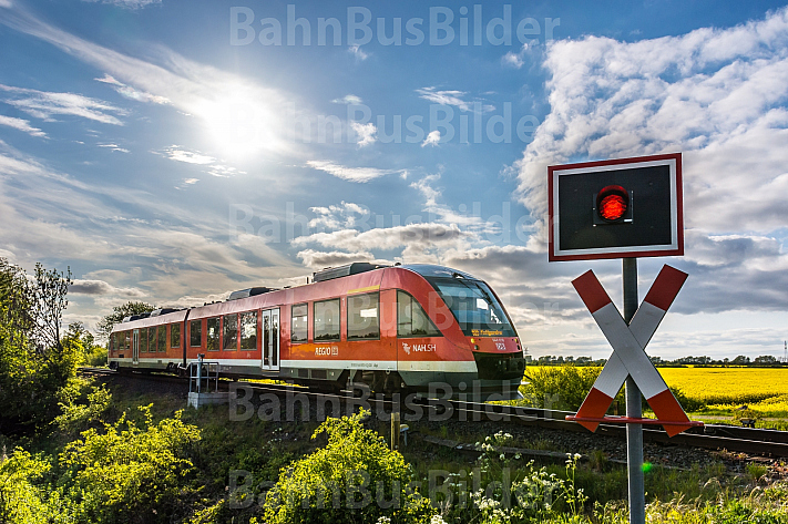 Ein Bahnübergang im Frühling mit Zug und Rapsfeld bei Großenbrode in Schleswig-Holstein