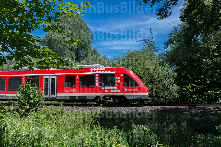 Ein Lint-Triebwagen fährt auf der Bäderbahn (Vogelfluglinie) in Schleswig-Holstein durch die Natur von Scharbeutz